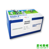 犬細小病毒抗原檢測卡