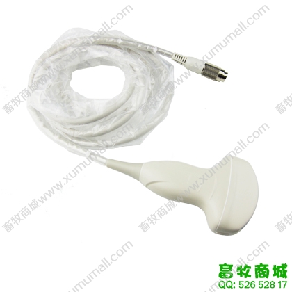 電子凸陣B超探頭