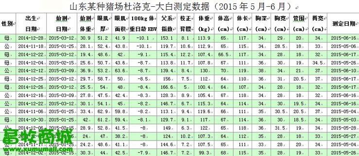 進(jìn)口背膘儀 豬用背膘儀 背膘測(cè)定儀