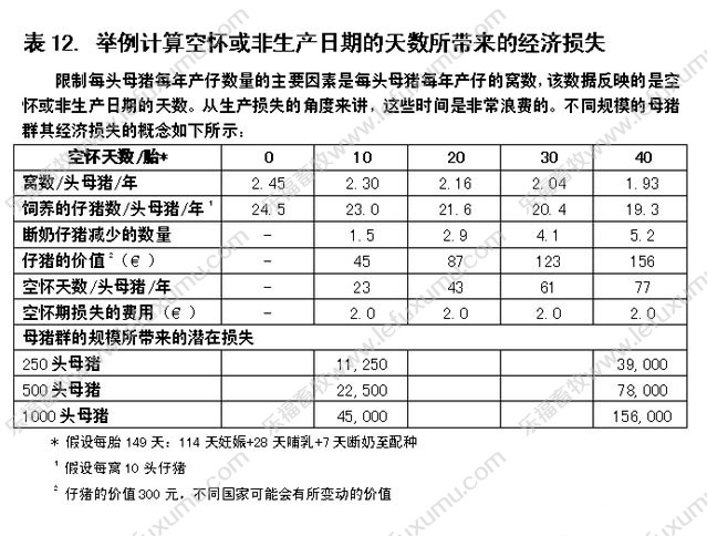 進口獸用B超_母豬B超機_維修獸用B超