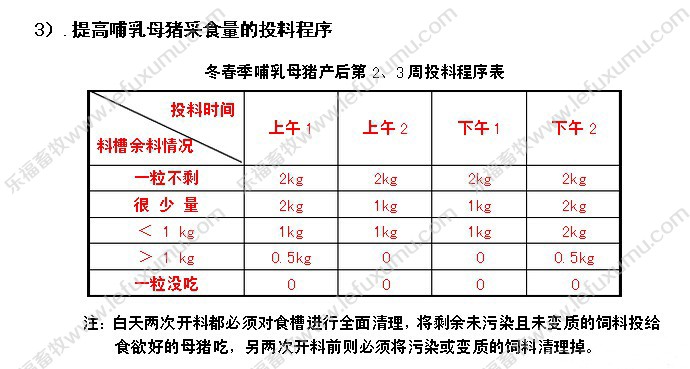 母豬料槽_母豬限位欄_母豬產床